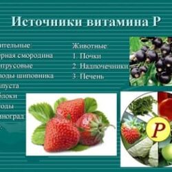 Рутин (Витамин P): неприметный защитник сосудов и не только